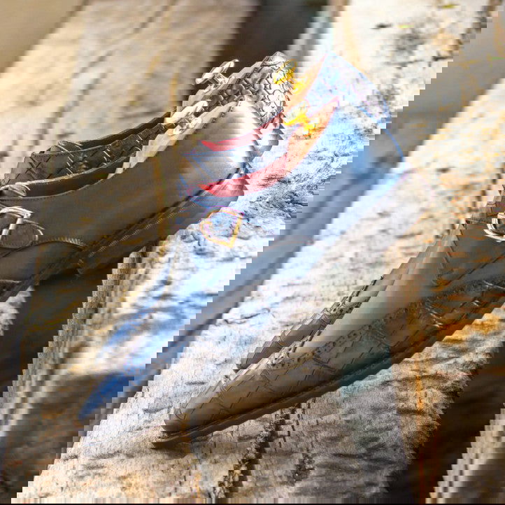 Single Monk Shoes DENTON - Milanese Leather