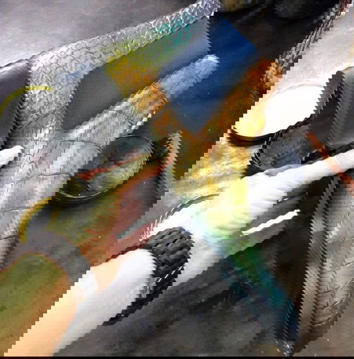 Special Edition Chelsea Boot RAINBOW - Milanese Leather